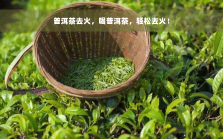 普洱茶去火，喝普洱茶，轻松去火！