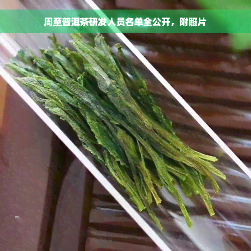 周至普洱茶研发人员名单全公开，附照片