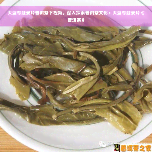 大型专题录片普洱茶下视频，深入探索普洱茶文化：大型专题录片《普洱茶》