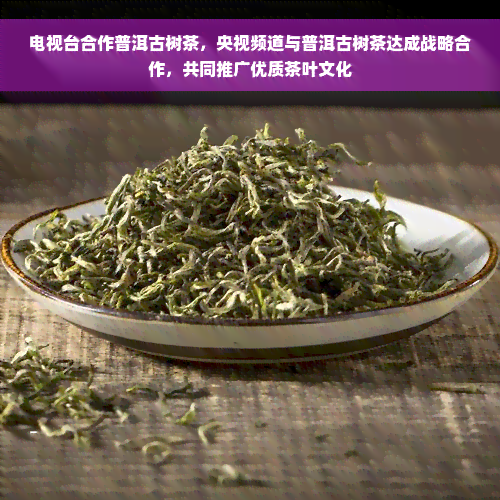 电视台合作普洱古树茶，央视频道与普洱古树茶达成战略合作，共同推广优质茶叶文化