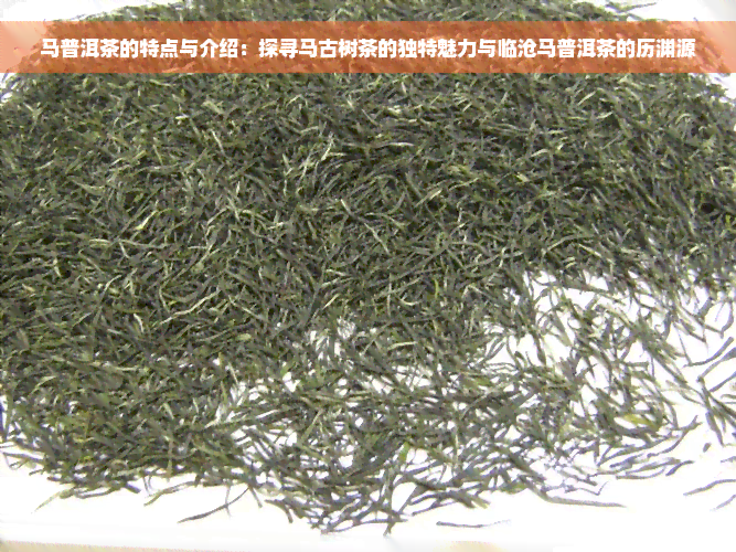 马普洱茶的特点与介绍：探寻马古树茶的独特魅力与临沧马普洱茶的历渊源