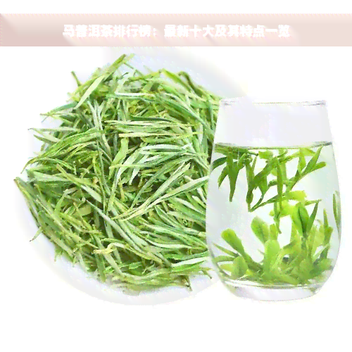 马普洱茶排行榜：最新十大及其特点一览