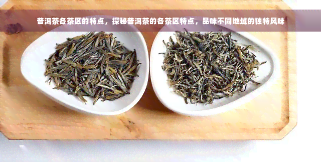 普洱茶各茶区的特点，探秘普洱茶的各茶区特点，品味不同地域的独特风味