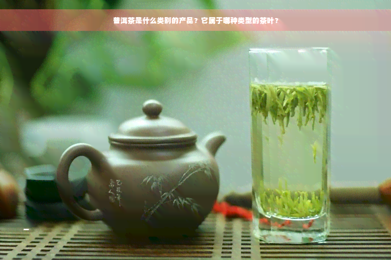 普洱茶是什么类别的产品？它属于哪种类型的茶叶？