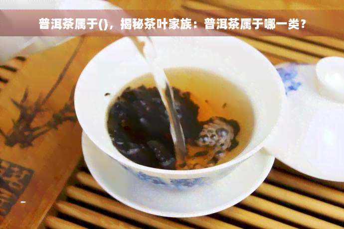 普洱茶属于()，揭秘茶叶家族：普洱茶属于哪一类？