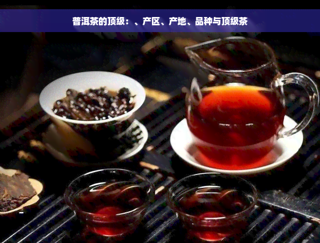 普洱茶的顶级：、产区、产地、品种与顶级茶