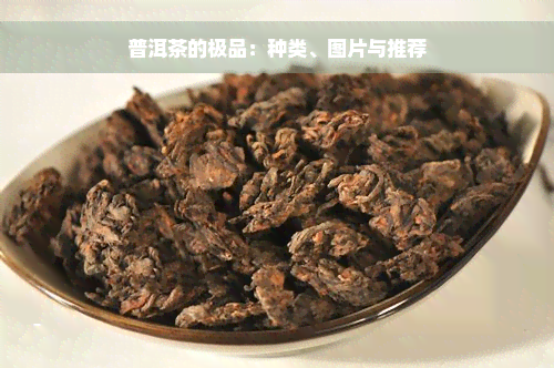 普洱茶的极品：种类、图片与推荐