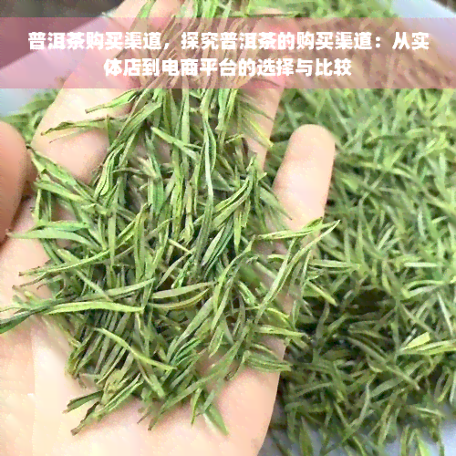 普洱茶购买渠道，探究普洱茶的购买渠道：从实体店到电商平台的选择与比较