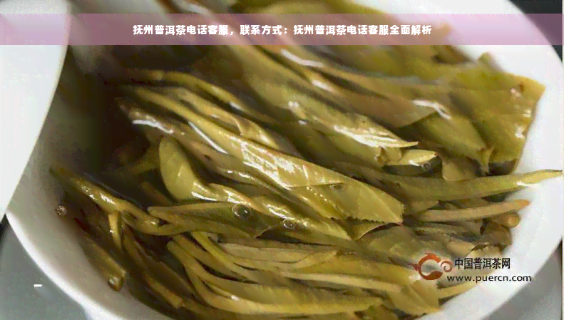 抚州普洱茶电话客服，联系方式：抚州普洱茶电话客服全面解析