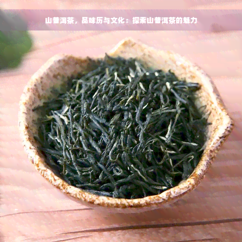 山普洱茶，品味历与文化：探索山普洱茶的魅力