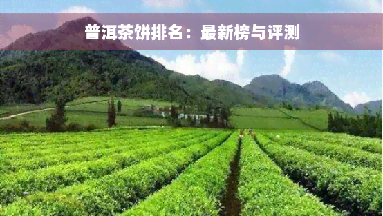 普洱茶饼排名：最新榜与评测