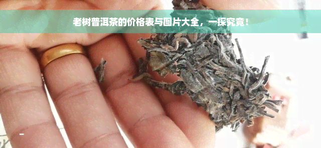 老树普洱茶的价格表与图片大全，一探究竟！