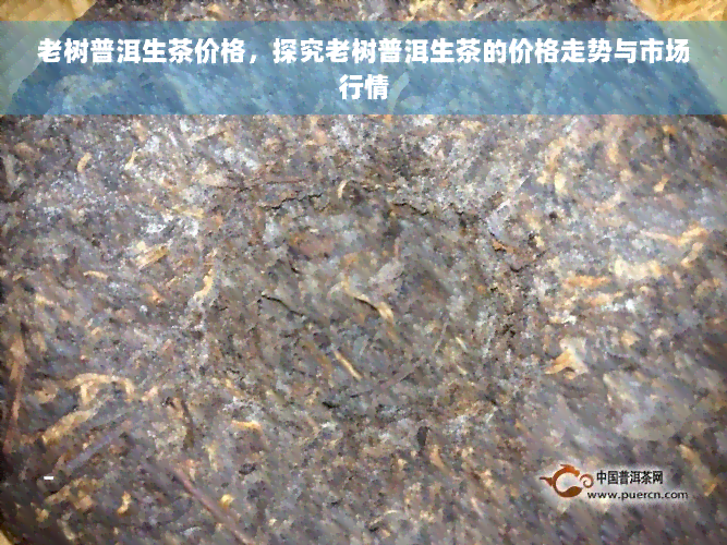 老树普洱生茶价格，探究老树普洱生茶的价格走势与市场行情