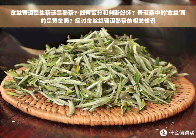 金丝普洱是生茶还是熟茶？如何区分和判断好坏？普洱茶中的'金丝'真的是黄金吗？探讨金丝红普洱熟茶的相关知识