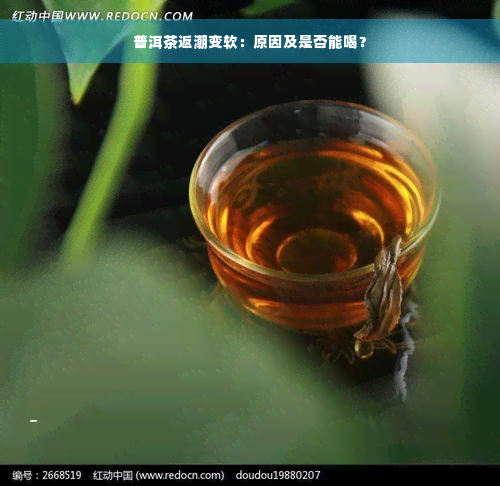 普洱茶返潮变软：原因及是否能喝？