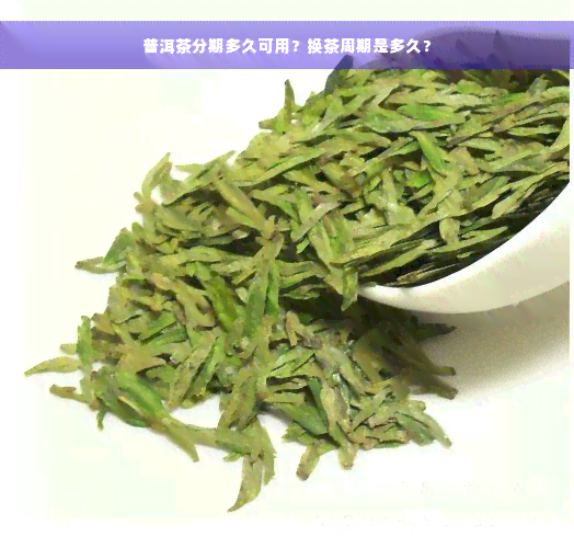 普洱茶分期多久可用？换茶周期是多久？