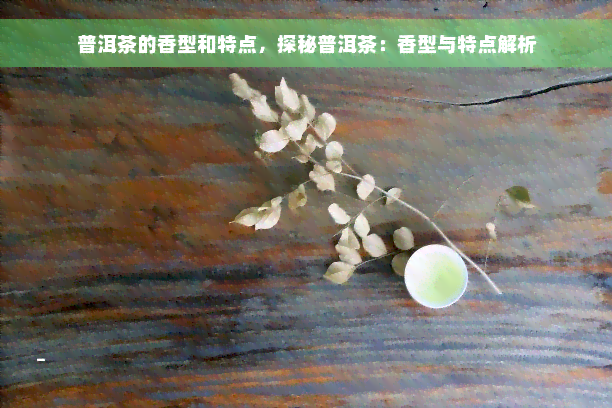 普洱茶的香型和特点，探秘普洱茶：香型与特点解析