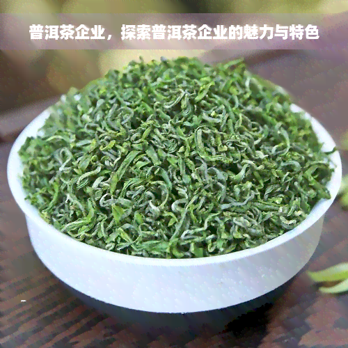 普洱茶企业，探索普洱茶企业的魅力与特色