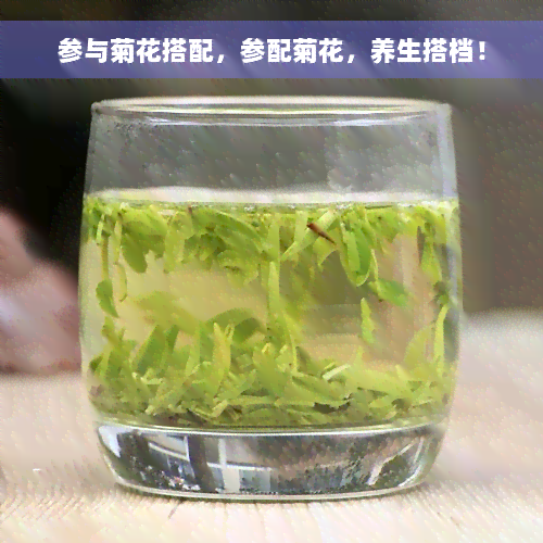 参与菊花搭配，参配菊花，养生搭档！