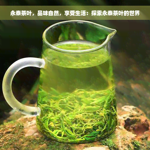 永泰茶叶，品味自然，享受生活：探索永泰茶叶的世界