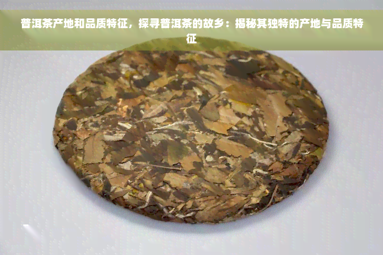 普洱茶产地和品质特征，探寻普洱茶的故乡：揭秘其独特的产地与品质特征