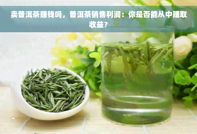 卖普洱茶赚钱吗，普洱茶销售利润：你是否能从中赚取收益？