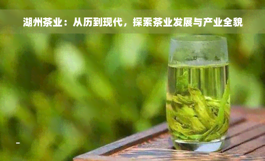 湖州茶业：从历到现代，探索茶业发展与产业全貌