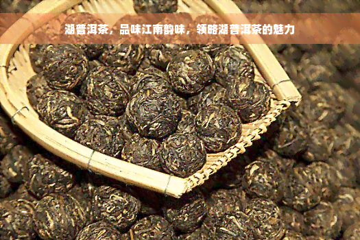 湖普洱茶，品味江南韵味，领略湖普洱茶的魅力