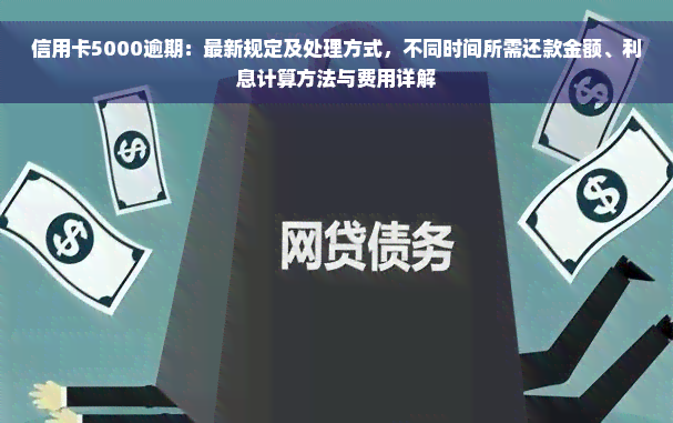 信用卡5000逾期：最新规定及处理方式，不同时间所需还款金额、利息计算方法与费用详解