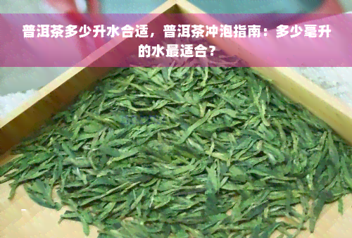 普洱茶多少升水合适，普洱茶冲泡指南：多少毫升的水最适合？