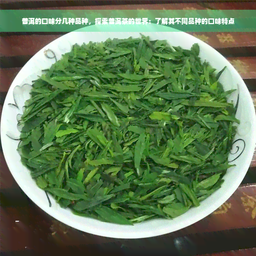 普洱的口味分几种品种，探索普洱茶的世界：了解其不同品种的口味特点