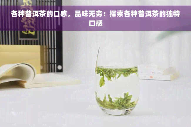 各种普洱茶的口感，品味无穷：探索各种普洱茶的独特口感