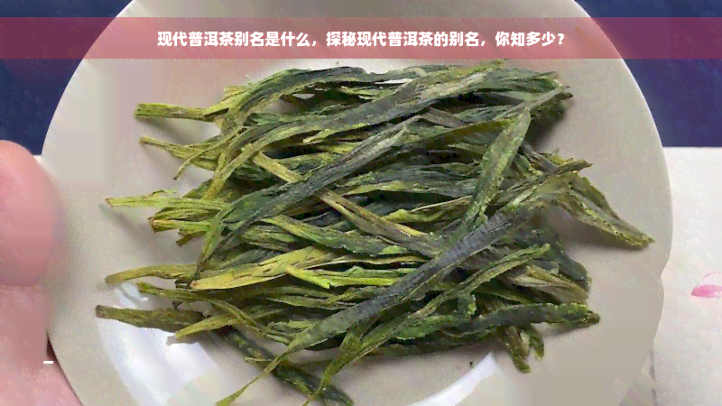 现代普洱茶别名是什么，探秘现代普洱茶的别名，你知多少？