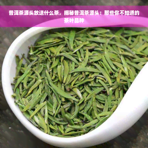 普洱茶源头放送什么茶，揭秘普洱茶源头：那些你不知道的茶叶品种