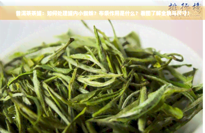 普洱茶茶罐：如何处理罐内小蜘蛛？布条作用是什么？看图了解全貌与尺寸！