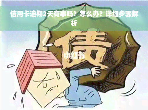 信用卡逾期2天有事吗？怎么办？详细步骤解析