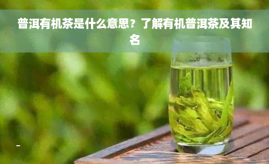 普洱有机茶是什么意思？了解有机普洱茶及其知名