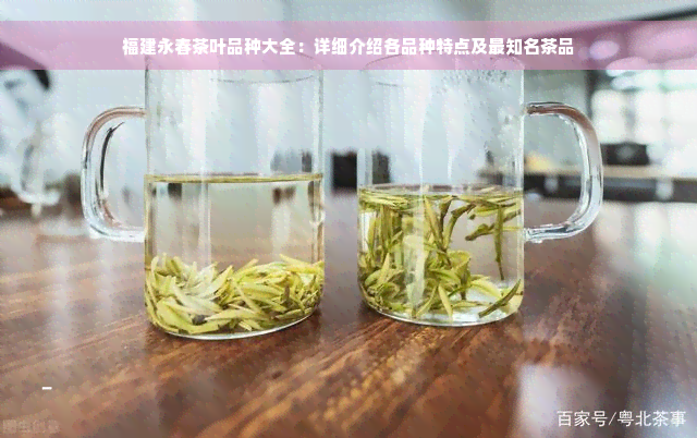 福建永春茶叶品种大全：详细介绍各品种特点及最知名茶品