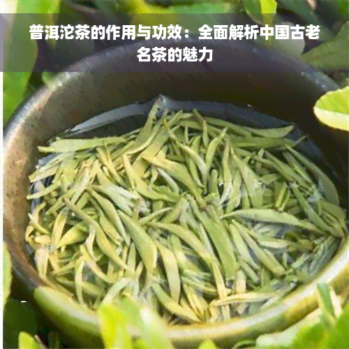 普洱沱茶的作用与功效：全面解析中国古老名茶的魅力