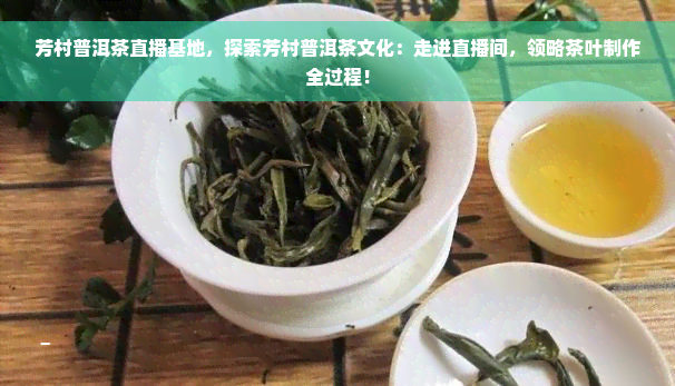 芳村普洱茶直播基地，探索芳村普洱茶文化：走进直播间，领略茶叶制作全过程！