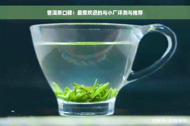 普洱茶口碑：更受欢迎的与小厂评测与推荐