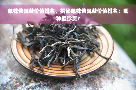 单株普洱茶价值排名，揭秘单株普洱茶价值排名：哪种最珍贵？