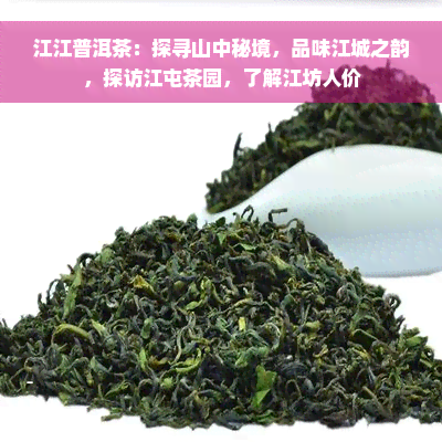 江江普洱茶：探寻山中秘境，品味江城之韵，探访江屯茶园，了解江坊人价