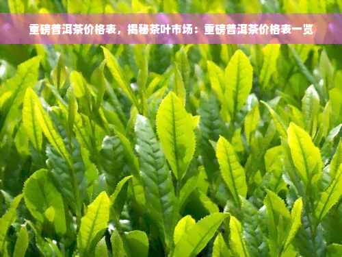 重磅普洱茶价格表，揭秘茶叶市场：重磅普洱茶价格表一览