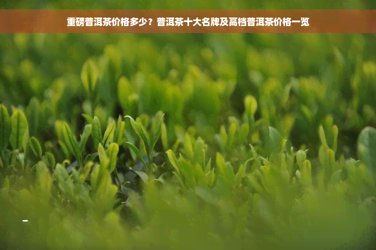 重磅普洱茶价格多少？普洱茶十大名牌及高档普洱茶价格一览