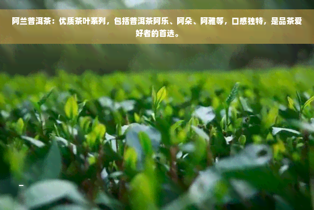 阿兰普洱茶：优质茶叶系列，包括普洱茶阿乐、阿朵、阿雅等，口感独特，是品茶爱好者的首选。