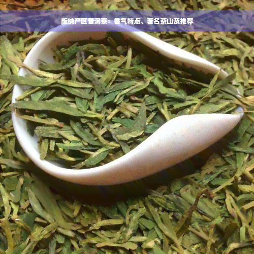 版纳产区普洱茶：香气特点、著名茶山及推荐