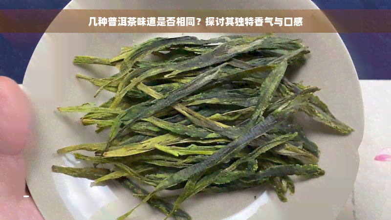 几种普洱茶味道是否相同？探讨其独特香气与口感