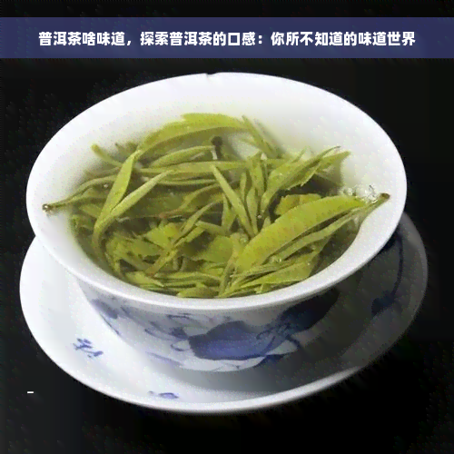 普洱茶啥味道，探索普洱茶的口感：你所不知道的味道世界