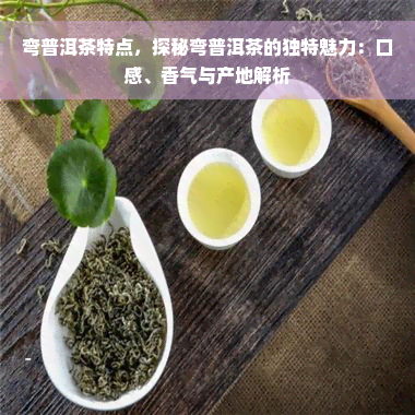 弯普洱茶特点，探秘弯普洱茶的独特魅力：口感、香气与产地解析